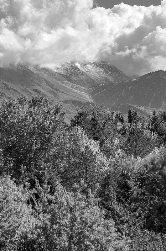 犹他州盐湖城的奥格登和山脉在秋天被拍摄成黑白照片