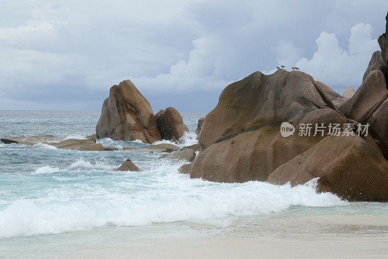 大安西岛，拉迪格岛，塞舌尔岛