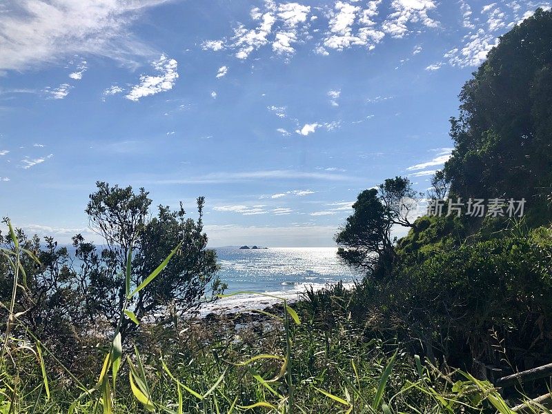 拜伦湾海，海滩和海岸森林