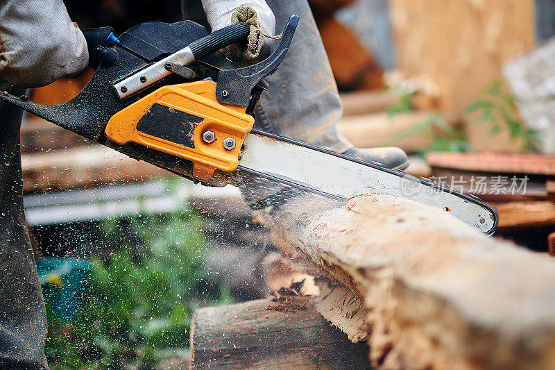 用锯子锯人。灰尘和运动。伐木工在锯木厂用链锯锯树。伐木工人