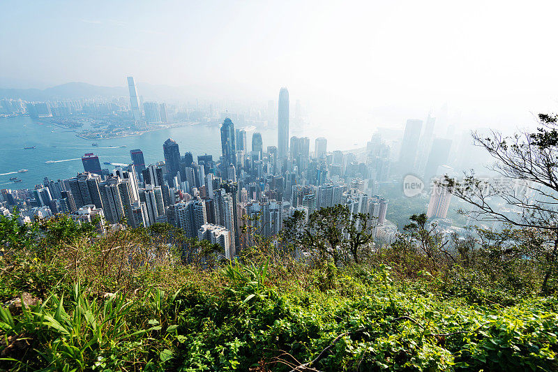 清晨城市建筑鸟瞰图