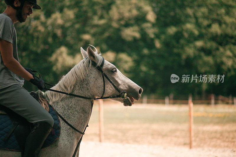 骑师在谷仓里骑马