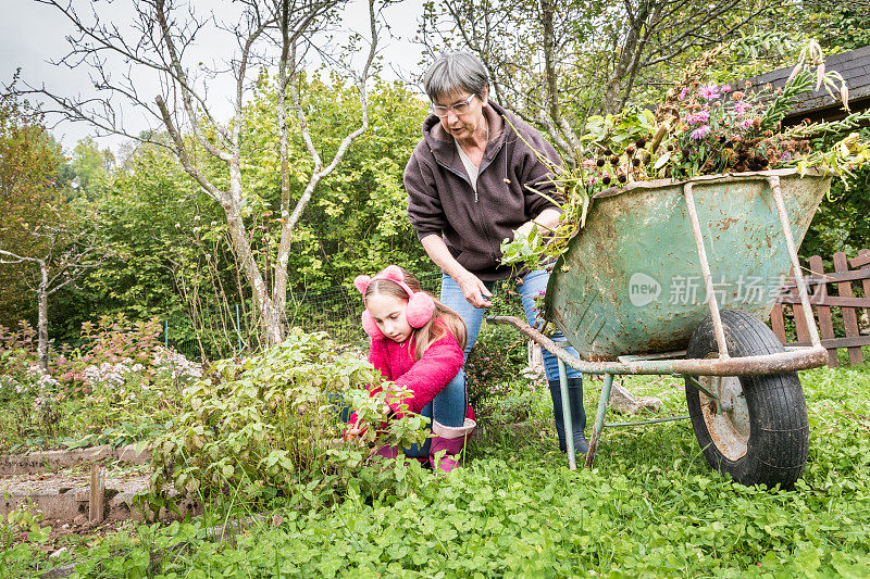 孙女和外婆一起在秋园劳作