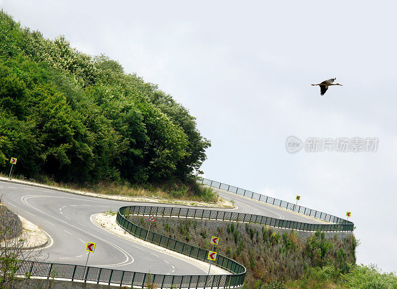 高速公路的弯道