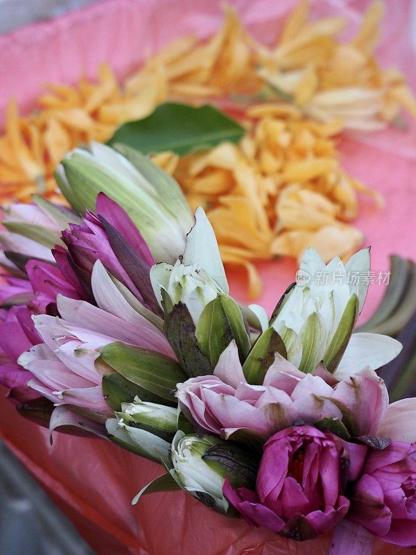 巴厘岛乌布市场的莲花