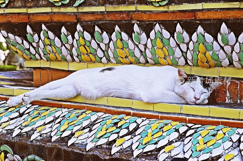 睡猫在寺庙的宝塔上。