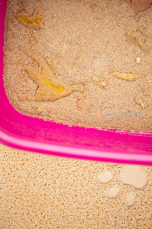 水驱猫砂为医学测试收集尿样-库存照片