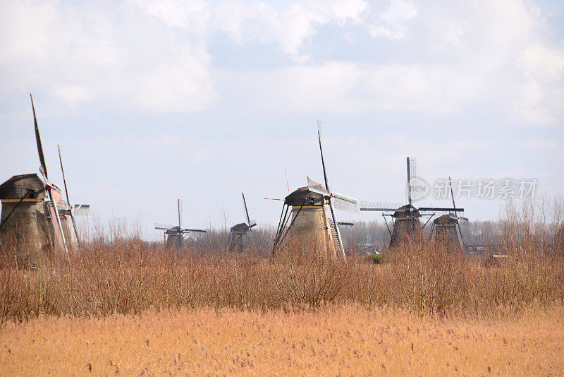 荷兰风车集团