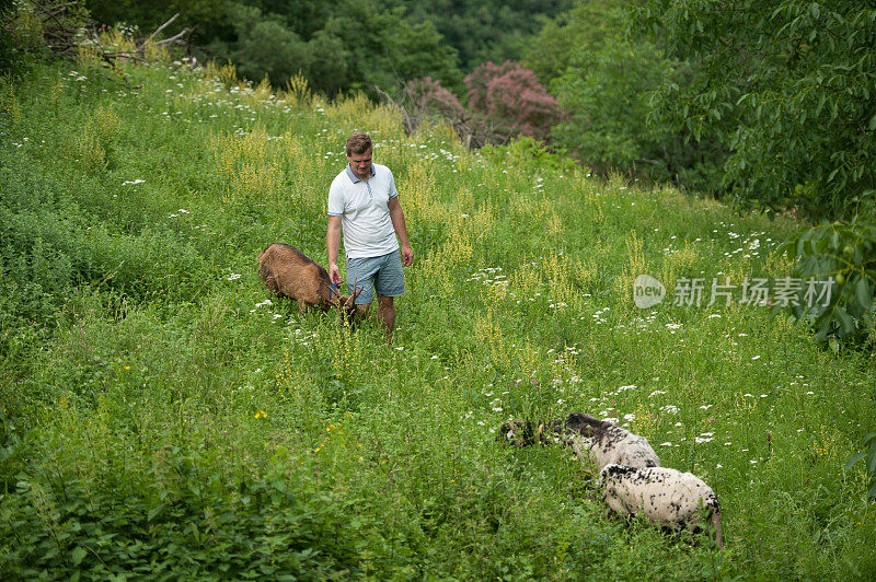 夏日牧场上的年轻农夫和他的山羊