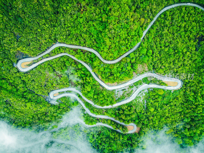 弯曲的道路