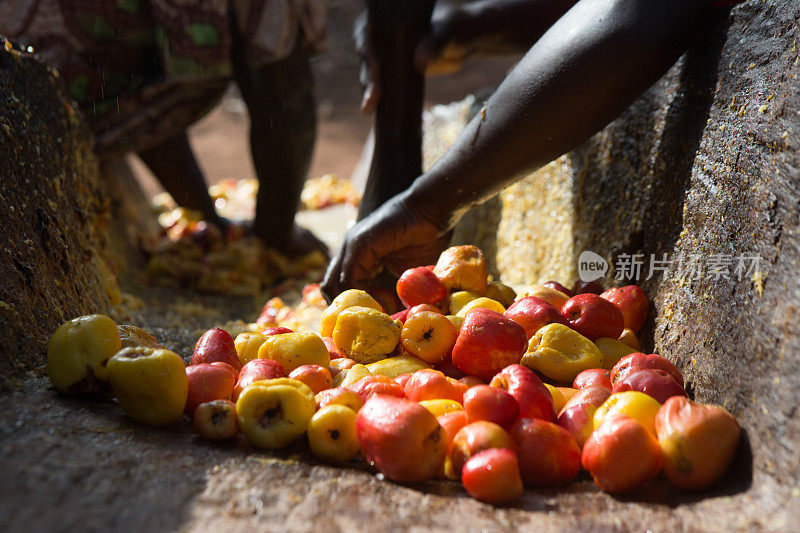 Guine几内亚比绍