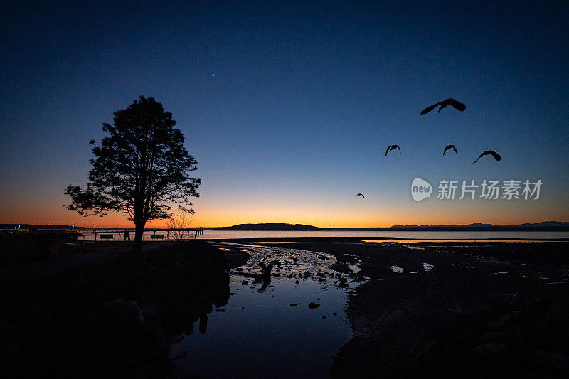 日出时穿过海湾到太平洋的美景