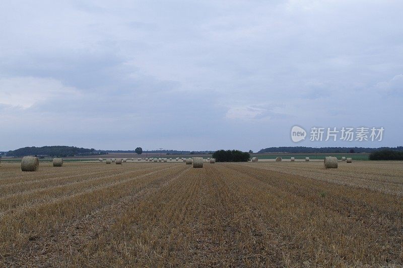 纵览收获的田野