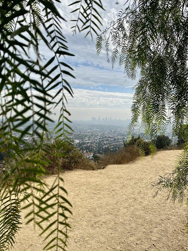 加州洛杉矶山中的小径和树木
