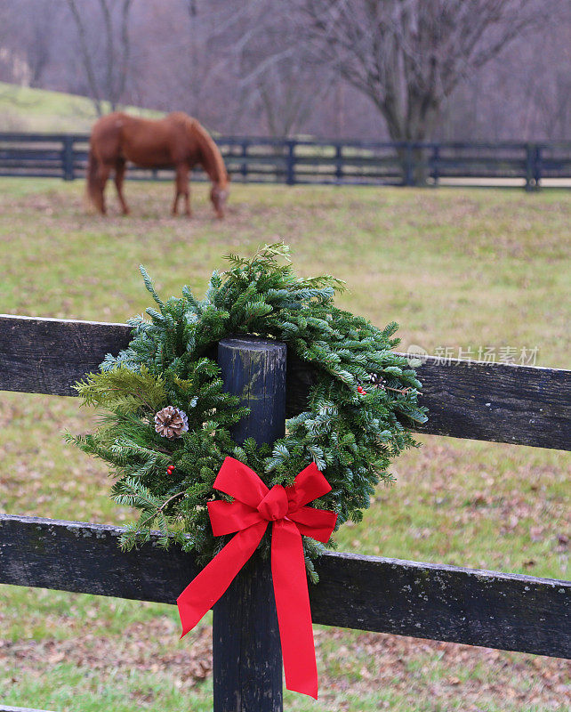农场上的圣诞花环和牧场上的马