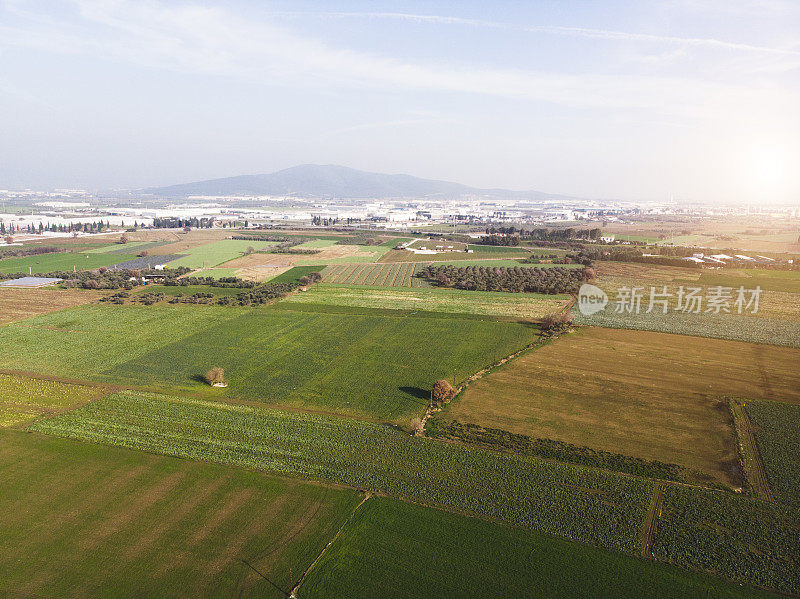 田野上空的鸟瞰图