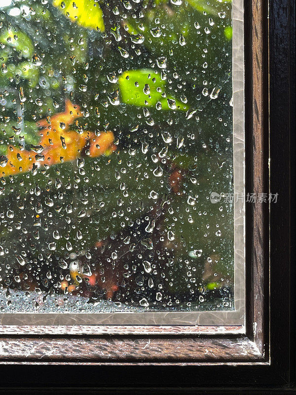 雨点落在俯瞰后院的玻璃窗框上