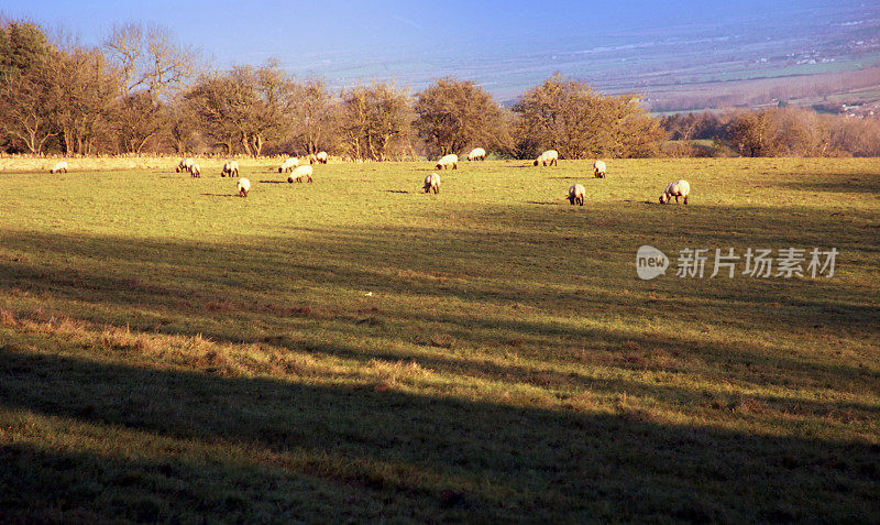 科茨沃尔德景观农业土地田野农村英格兰英国
