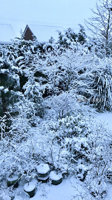 大雪过后，冬天的花园被冰雪覆盖