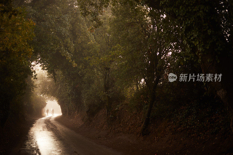 雨后泥泞的路，早晨有雾