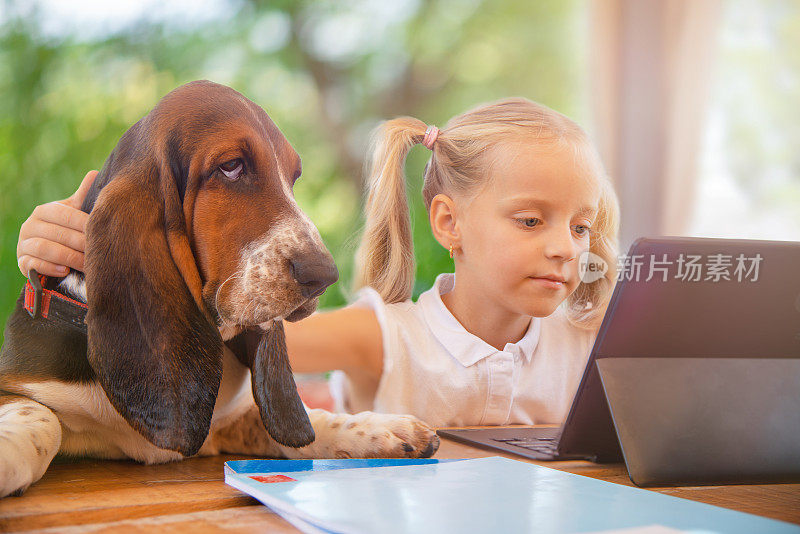 小女孩和她的狗看笔记本。家庭在线学习的概念。