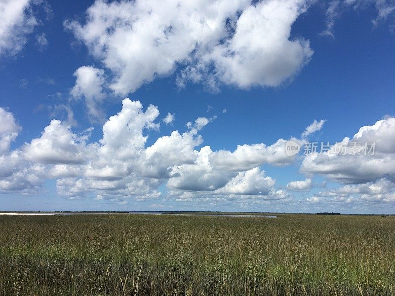 佛罗里达的沼泽湾海岸，夏日的云朵在蓝天中堆积