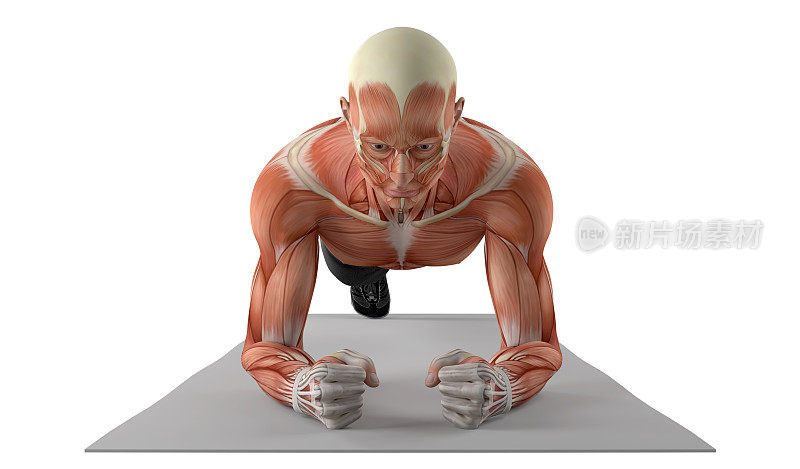 插图3D一个健康的人，做平板支撑腿锻炼