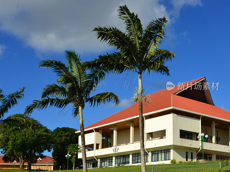 瓦努阿图的议会和棕榈树，维拉港，瓦努阿图