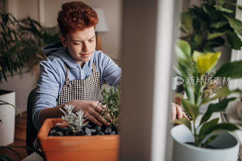 红发少年在家里种植室内植物