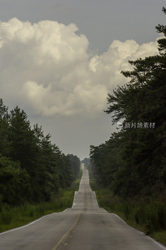 在沙地松林中，沿着长长的潮湿笔直的柏油路，穿过连绵起伏的山丘，地平线上乌云密布