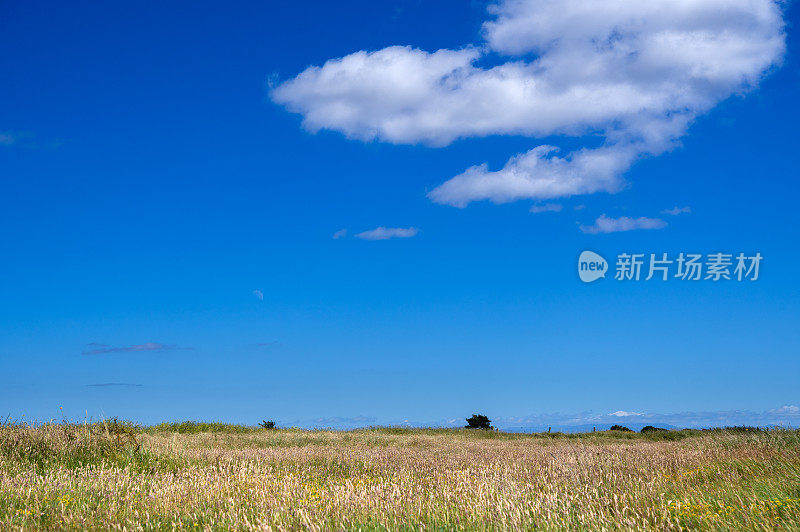 阳光灿烂的日子里未开垦的草原