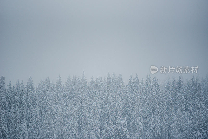 雪暴风雪