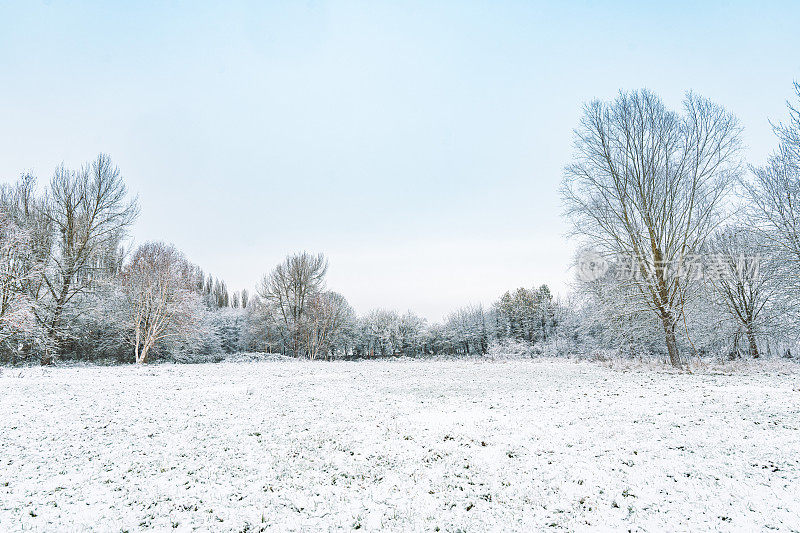 一个寒冷的早晨，这个季节的第一层雪。