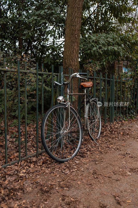 在一个宁静的公园里，一辆老式自行车停在高大树木前的门口