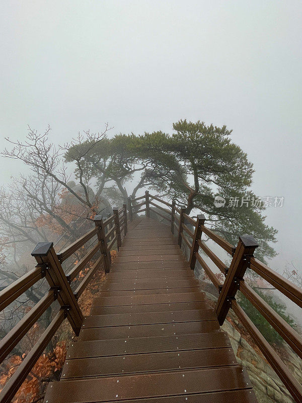 云雾中的徒步小径