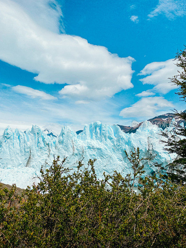 埃尔卡拉法特的佩里托莫雷诺冰川。阿根廷圣克鲁斯省。南方Patagonian