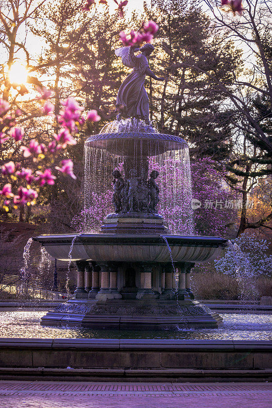中央公园春天的贝塞斯达喷泉