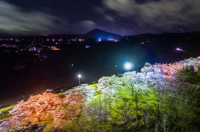 樱花夜景的高视角