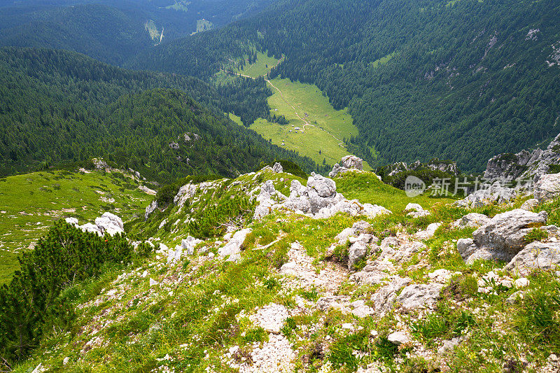 从2050米高的维舍夫尼克峰俯瞰斯洛文尼亚的波克茹卡高原山谷。