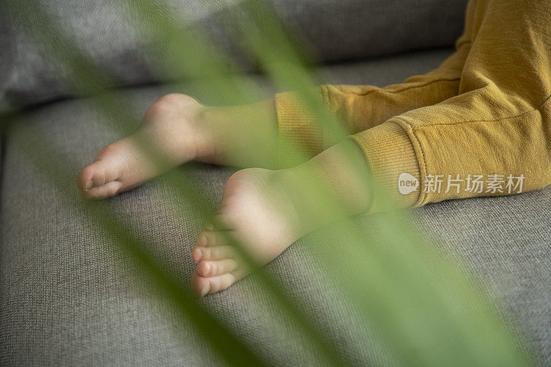 孩子的脚睡在沙发上。白天小睡一下，近距离观察。