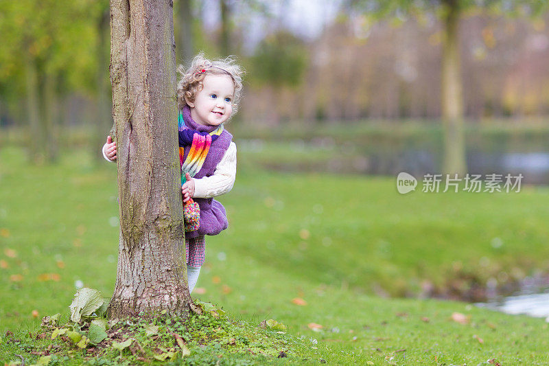 甜美有趣的蹒跚学步的女孩躲在秋天公园的树后面