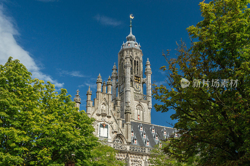 荷兰米德尔堡市政厅的中世纪塔楼