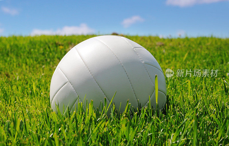 草地上的白色排球