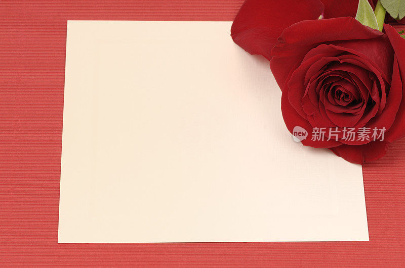 红色玫瑰的空白卡片