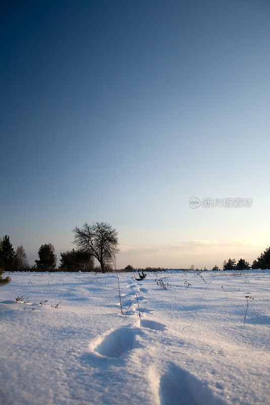 脚步在雪地