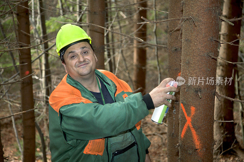 林业工人指示要砍伐的树木