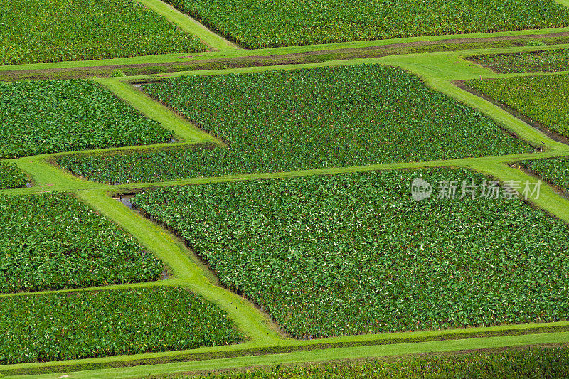 哈纳雷山谷位于夏威夷考艾岛