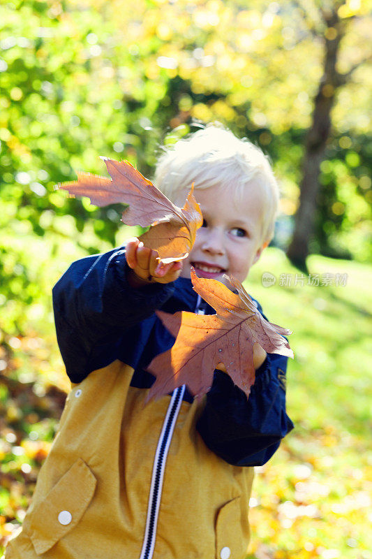 男孩玩秋天的树叶