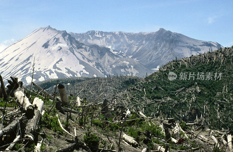 圣海伦斯山1988毁坏树木火山口穹丘重新造林