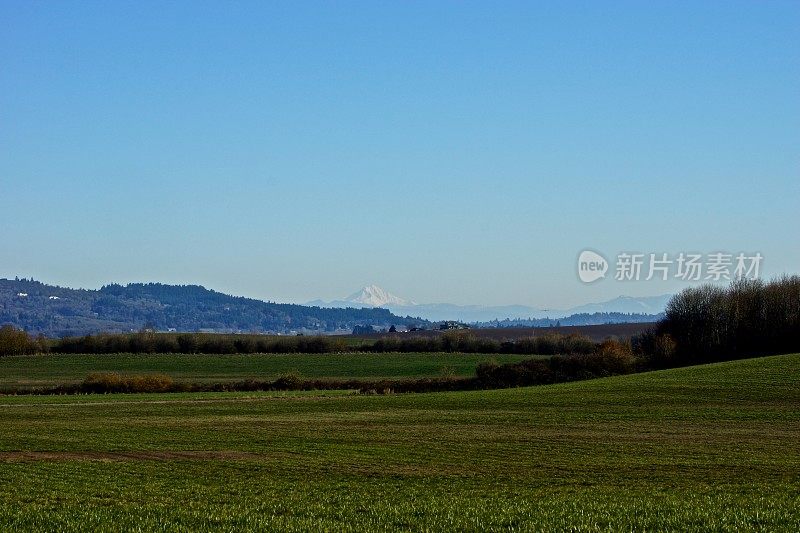 蓝天下的田野风景